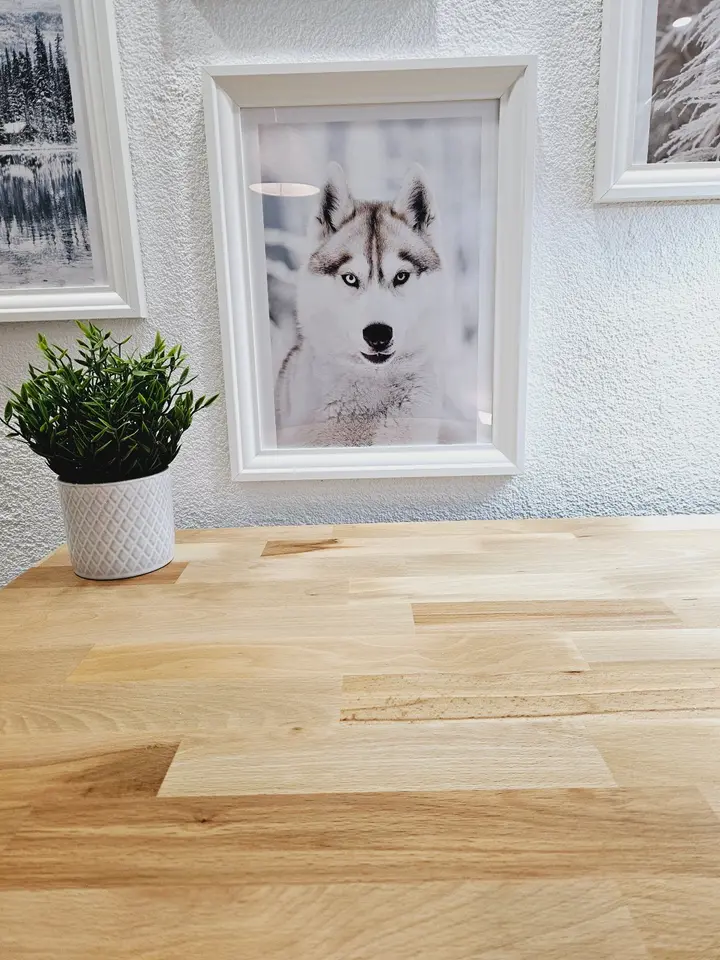 WG-Zimmer mit 44 m² in Essen – Bild 6