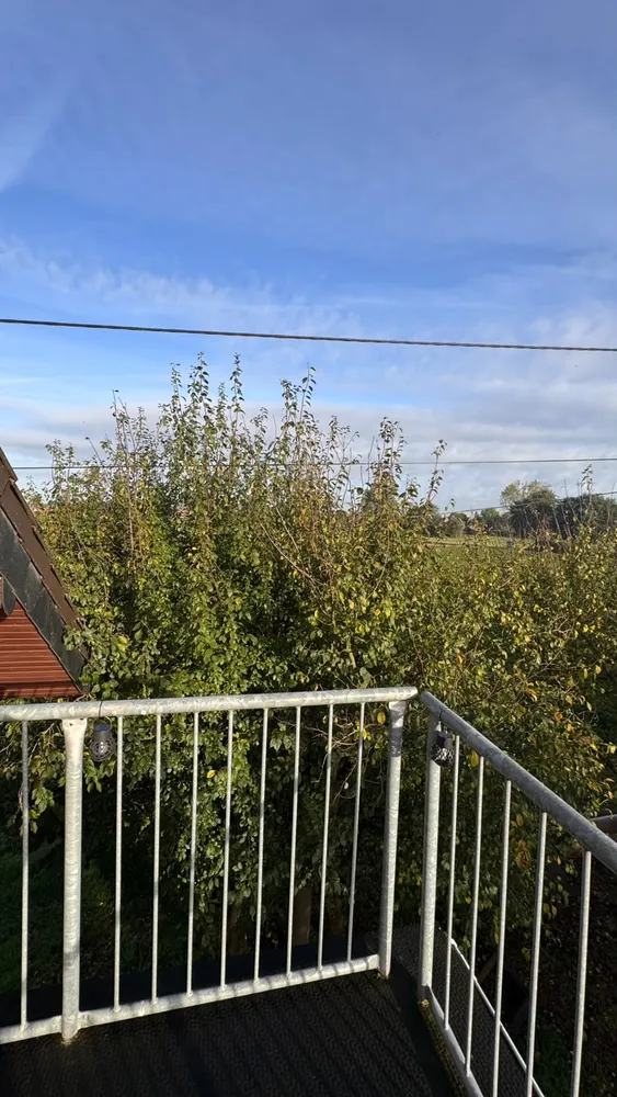 2 room apartment with 65 m² in Rheinberg – Photo 12