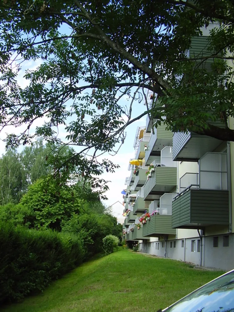 3 room apartment with 58 m² in Chemnitz – Photo 7