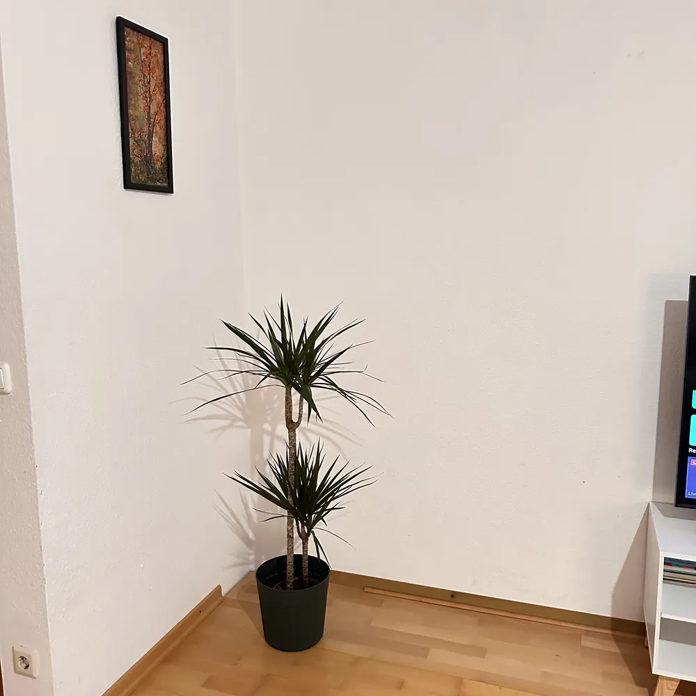 3 room apartment with 86 m² in Brunswick – Photo 8