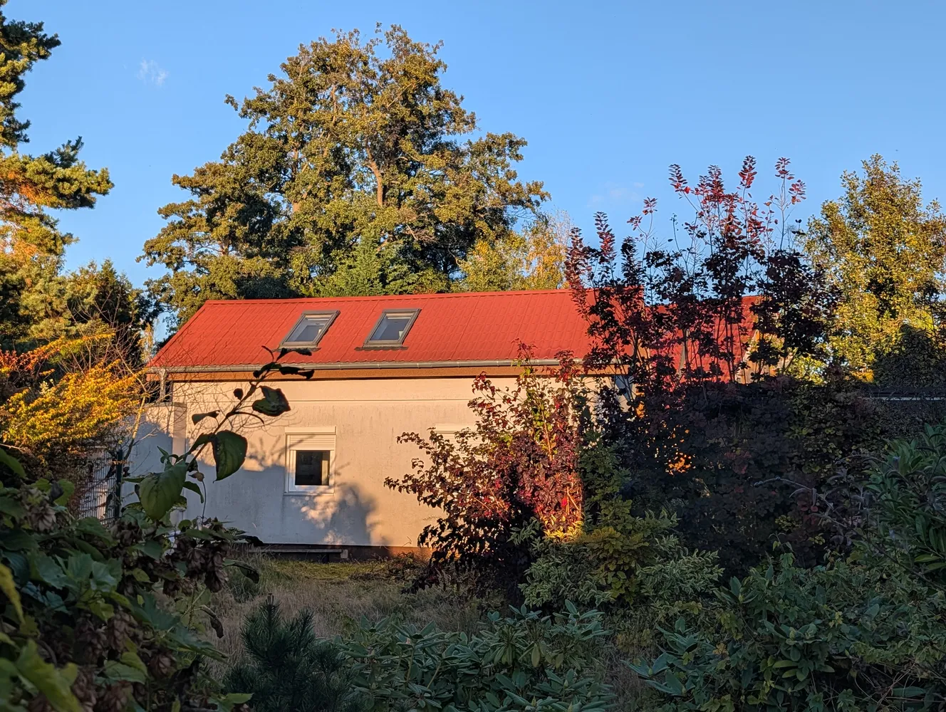 4 Zimmer Haus mit 53 m² in Berlin – Bild 5