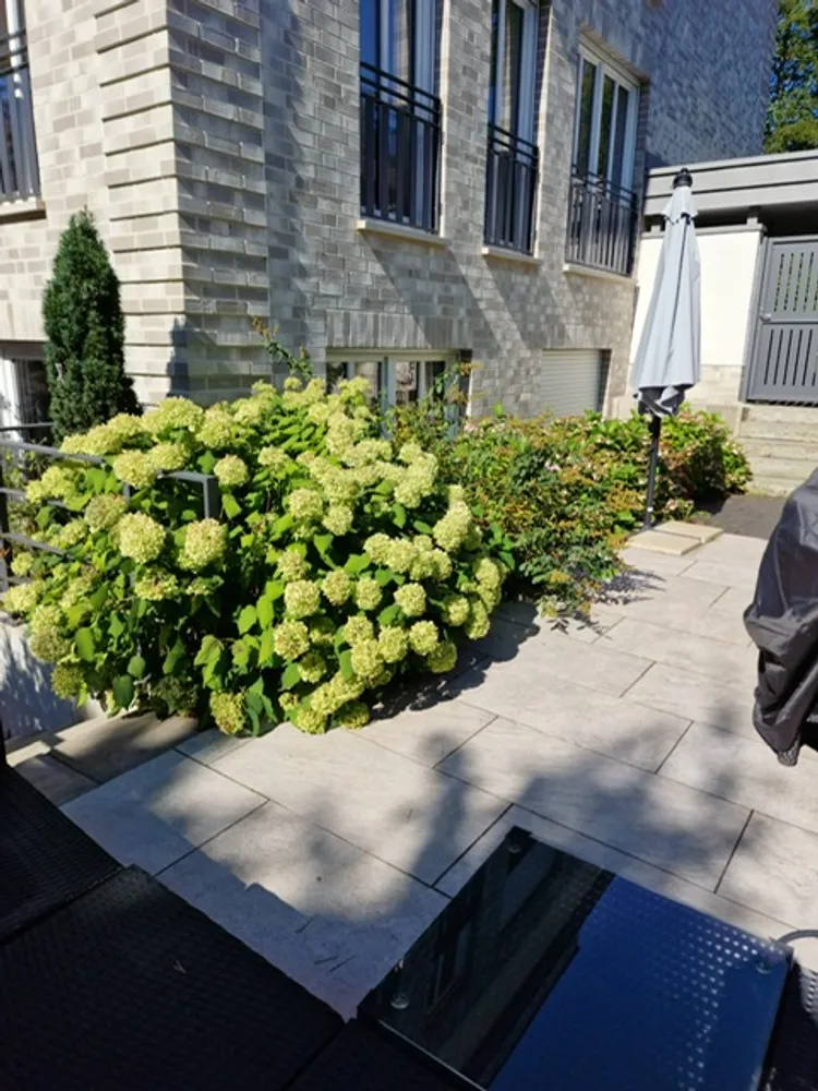 2 Zimmer Wohnung mit 57 m² in Bielefeld – Bild 10