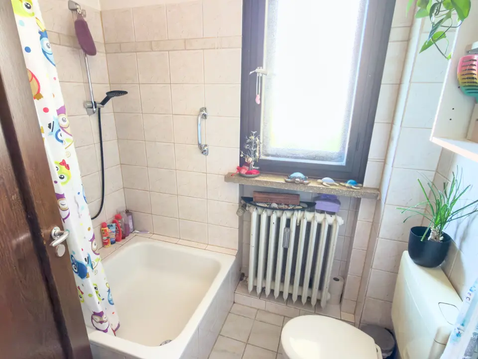 Studio mit 38 m² in Coburg – Bild 5