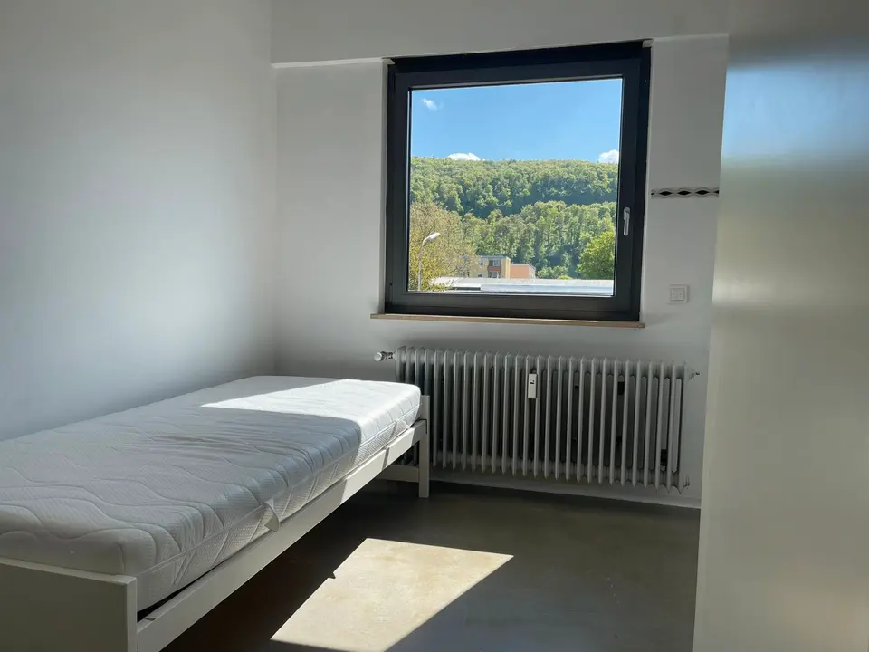 WG-Zimmer mit 25 m² in Weil am Rhein – Bild 1