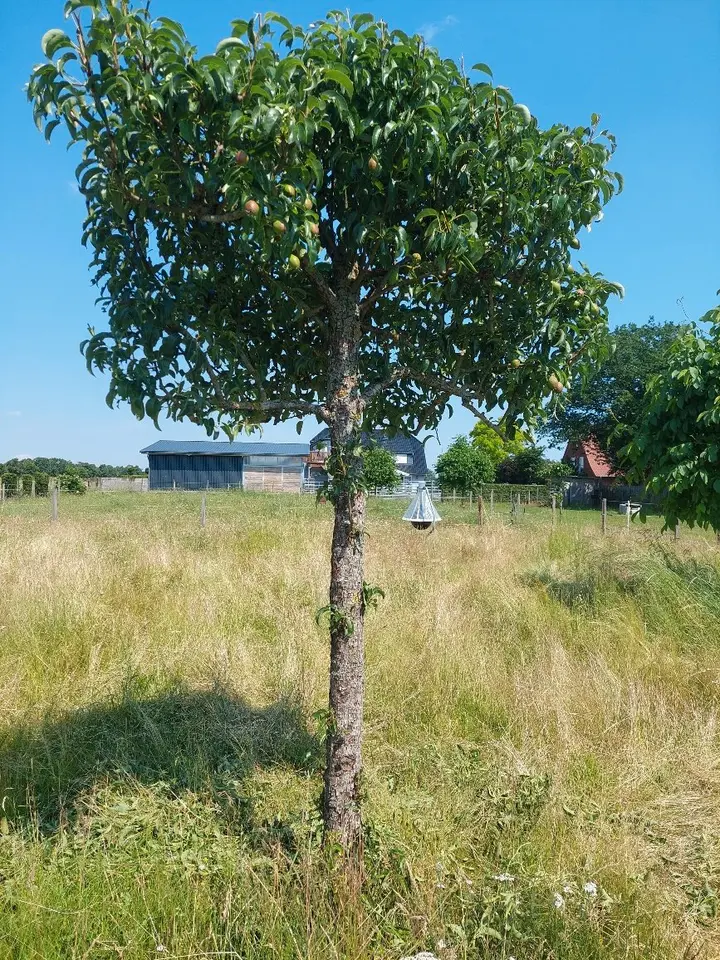 WG-Zimmer mit 89 m² in Verden (Aller) – Bild 10