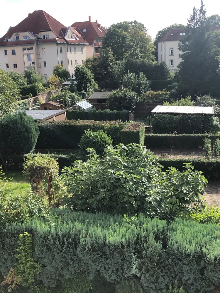 2 Zimmer Wohnung mit 63 m² in Coswig – Bild 2