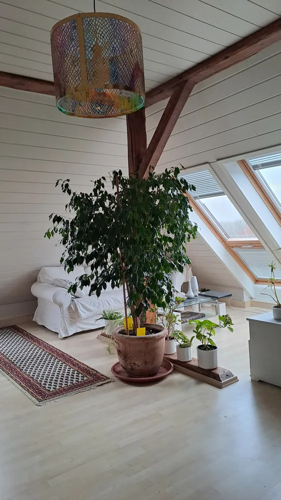 3 Zimmer Wohnung mit 74 m² in Braunschweig – Bild 1