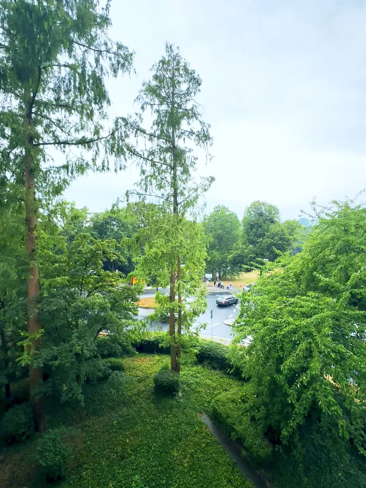 4 Zimmer Wohnung mit 100 m² in Wiesbaden – Bild 7