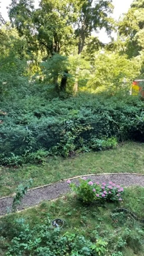 3 room apartment with 75 m² in Berlin – Photo 2