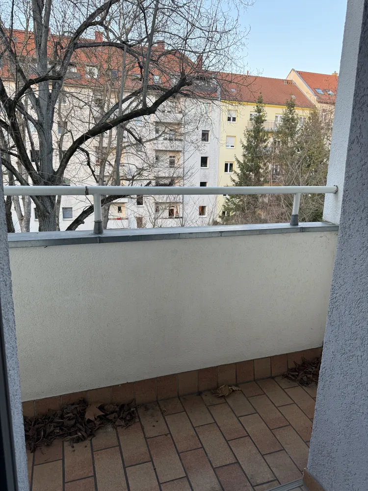 3 Zimmer Wohnung mit 77 m² in Leipzig – Bild 2
