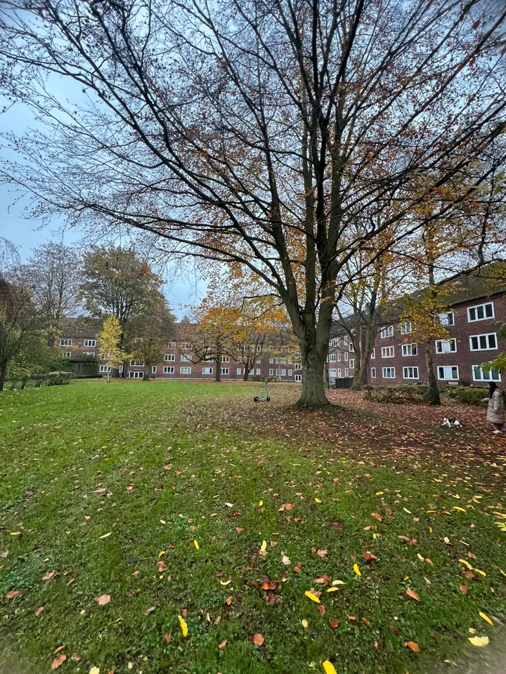 2 Zimmer Wohnung mit 44 m² in Kiel – Bild 4