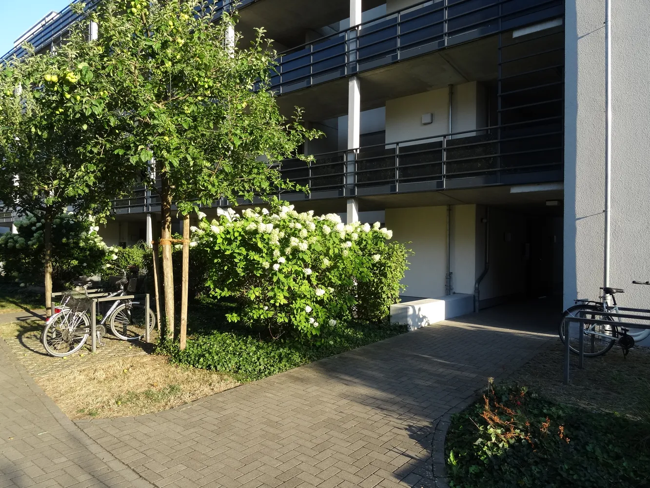 2 Zimmer Wohnung mit 49 m² in Hanau – Bild 5