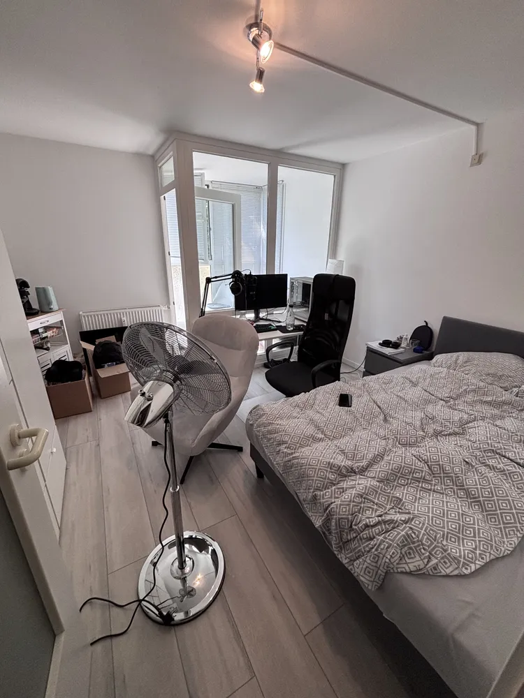 2 Zimmer Wohnung mit 33 m² in Braunschweig – Bild 2