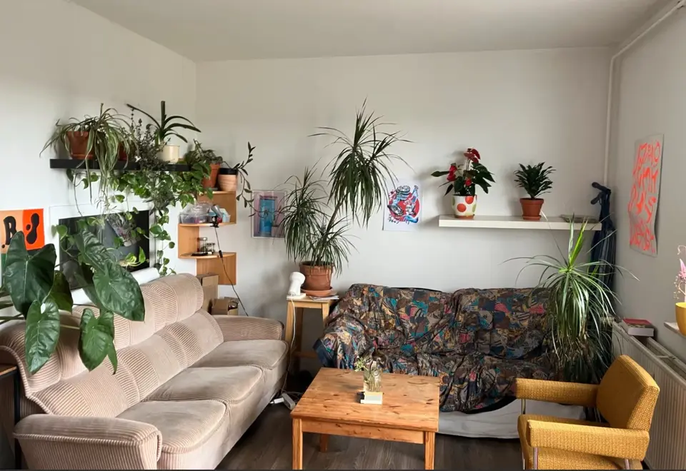 3 room apartment with 68 m² in Neubrandenburg – Photo 1