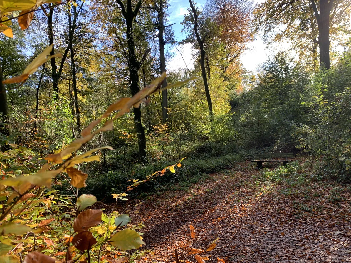 2 Zimmer Wohnung mit 66 m² in Mülheim an der Ruhr – Bild 9