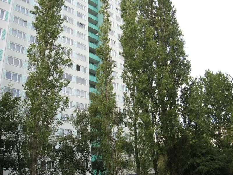 2 Zimmer Wohnung mit 49 m² in Berlin – Bild 8