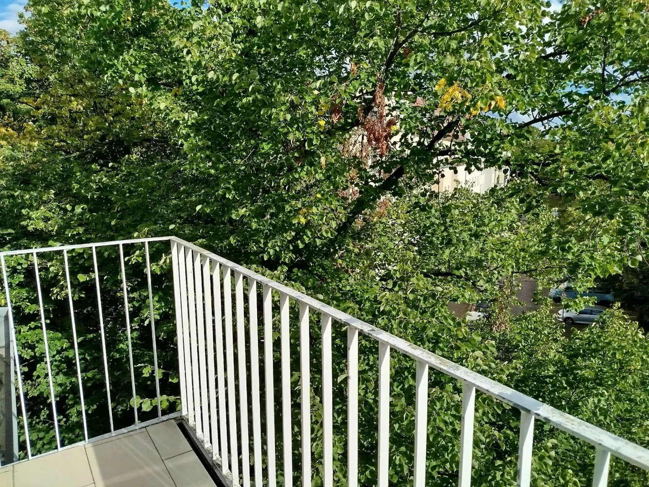 2 Zimmer Wohnung mit 65 m² in Berlin – Bild 2