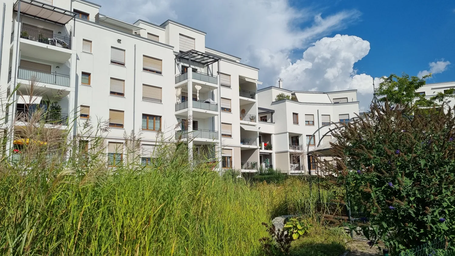 3 Zimmer Wohnung mit 85 m² in Rheinfelden – Bild 4