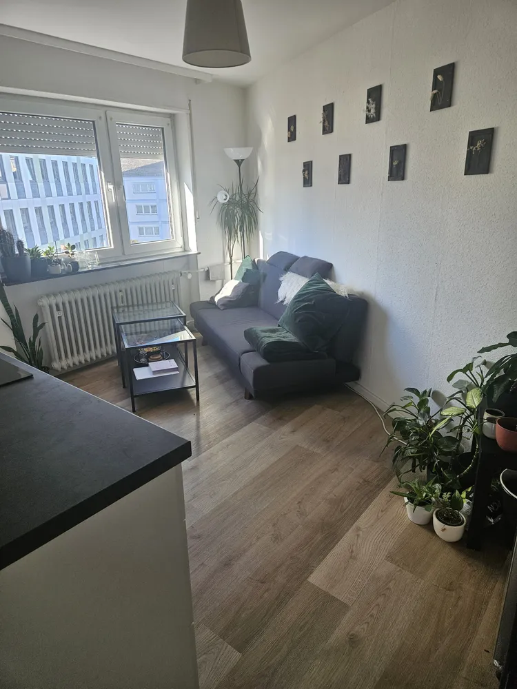 1 Zimmer Wohnung mit 45 m² in Kaiserslautern – Bild 2
