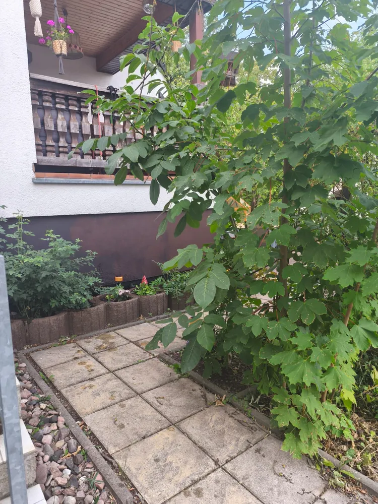 2 room apartment with 74 m² in Gotha – Photo 7