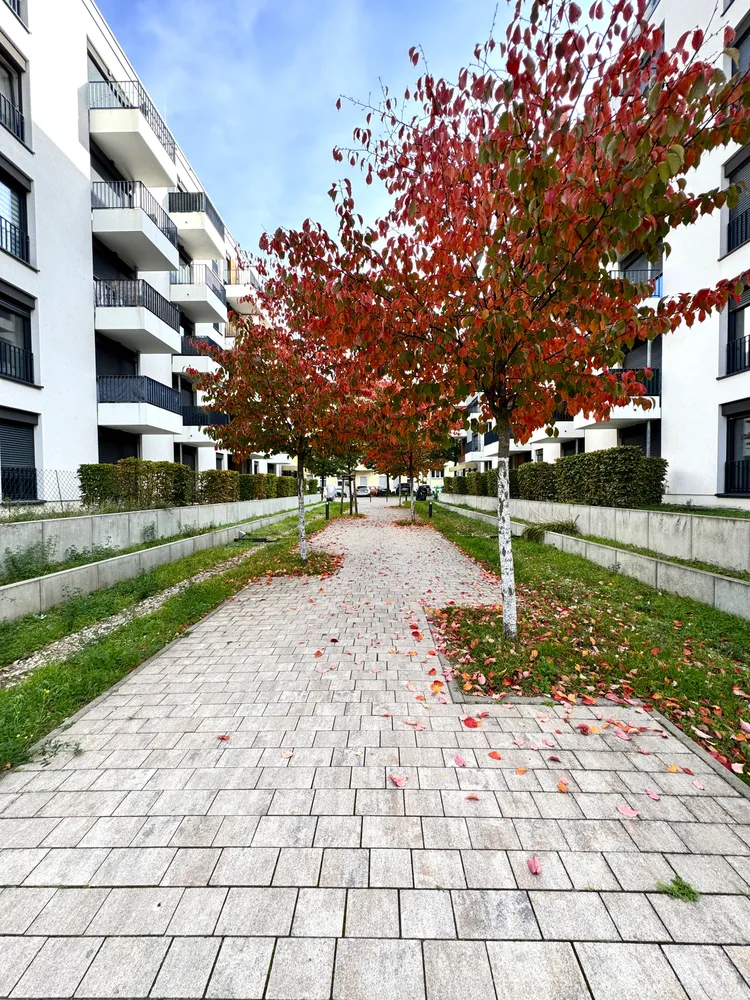 2 room apartment with 51 m² in Berlin – Photo 1