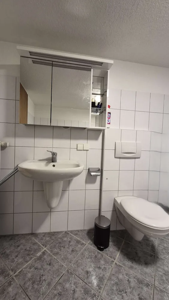 2 Zimmer Wohnung mit 60 m² in Waldshut-Tiengen – Bild 2