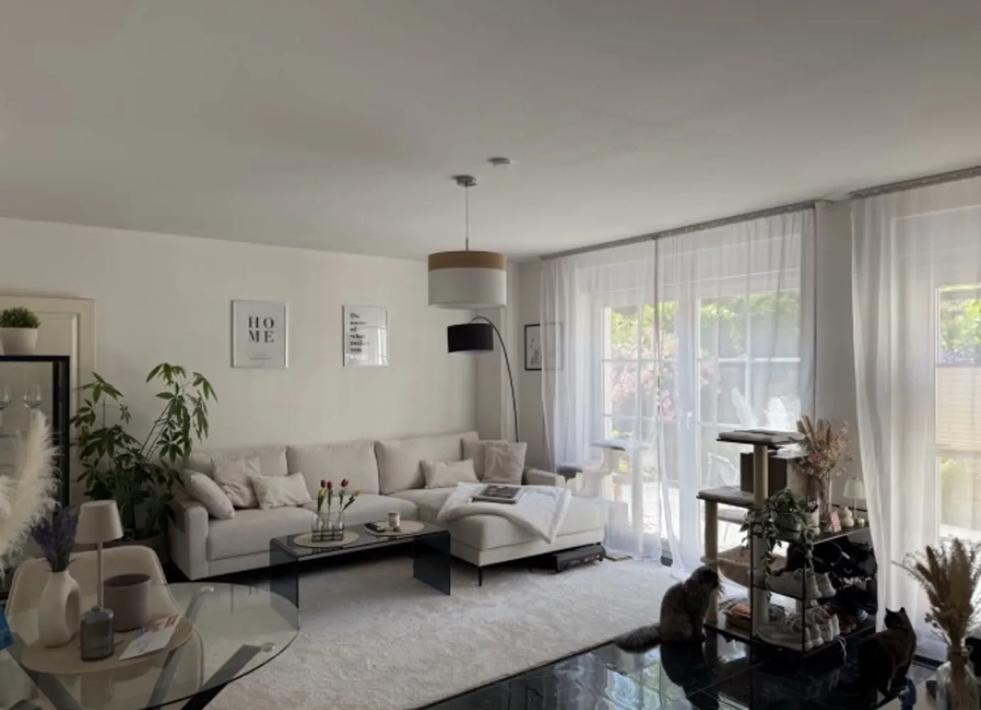 2 Zimmer Wohnung mit 50 m² in Potsdam – Bild 2