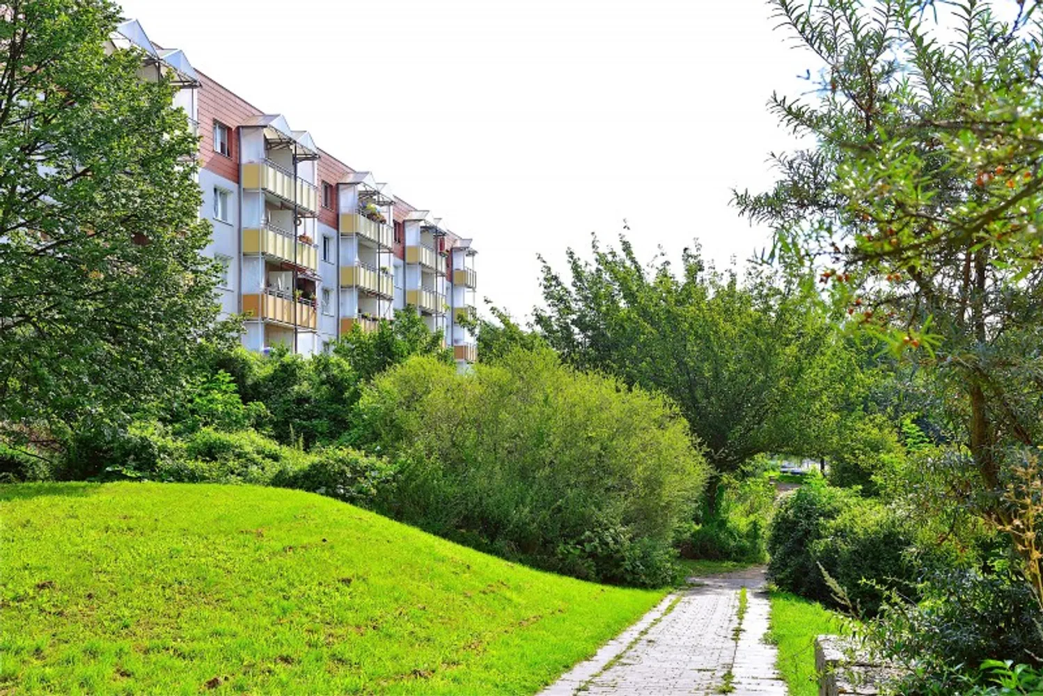 4 Zimmer Wohnung mit 72 m² in Eberswalde – Bild 5