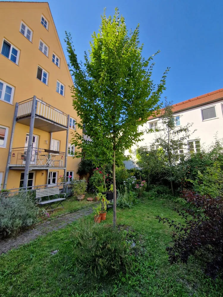 3 Zimmer Wohnung mit 77 m² in Augsburg – Bild 2