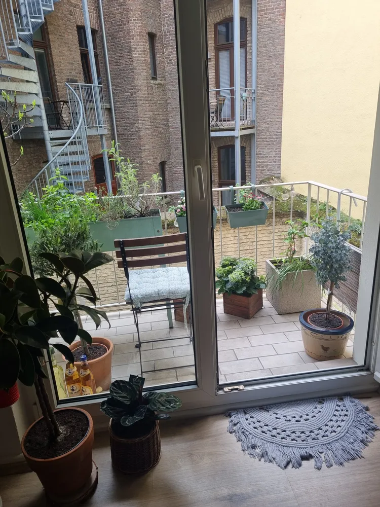 2 room apartment with 46 m² in Cologne – Photo 4