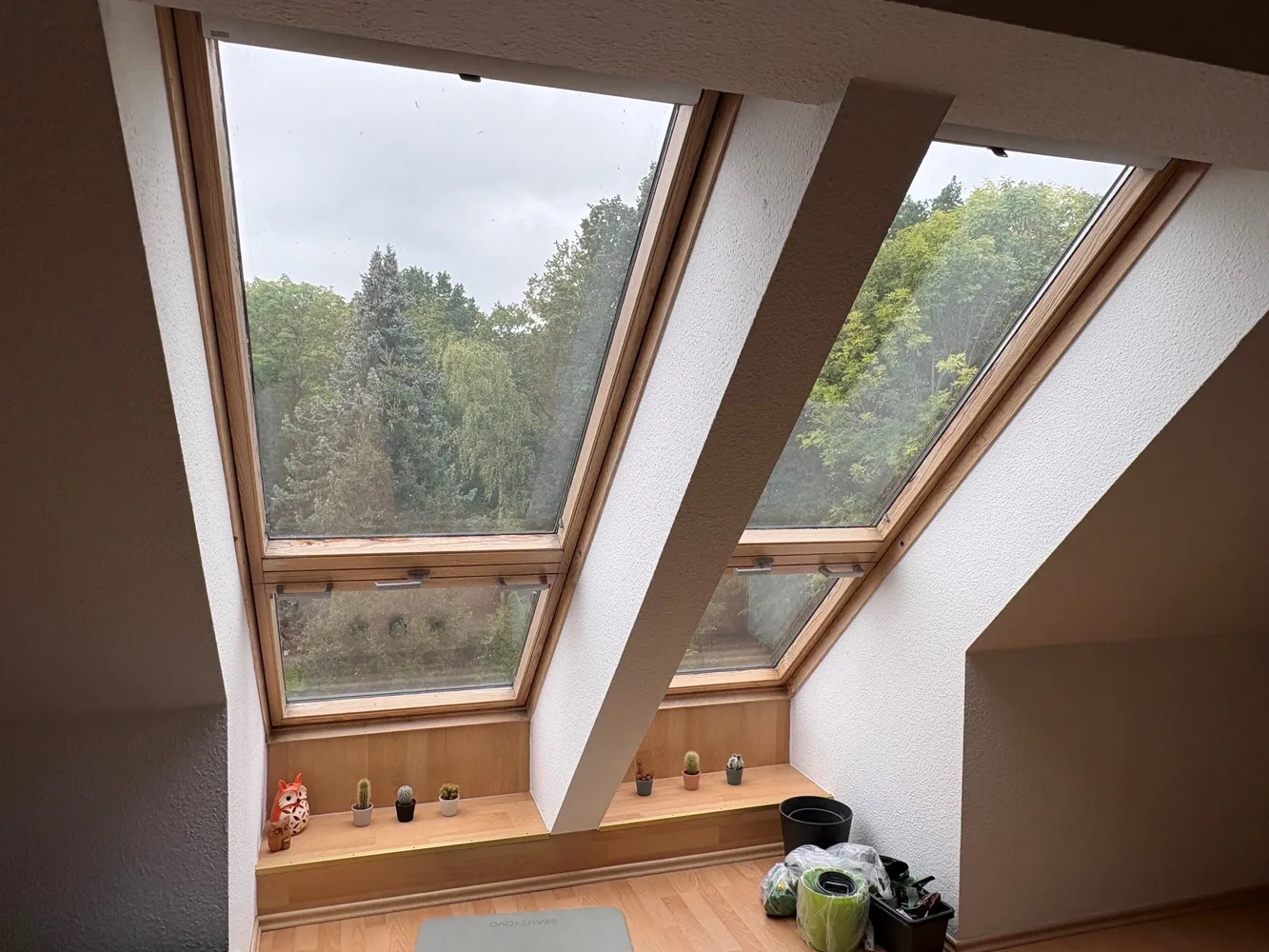 2 room apartment with 54 m² in Dresden – Photo 7