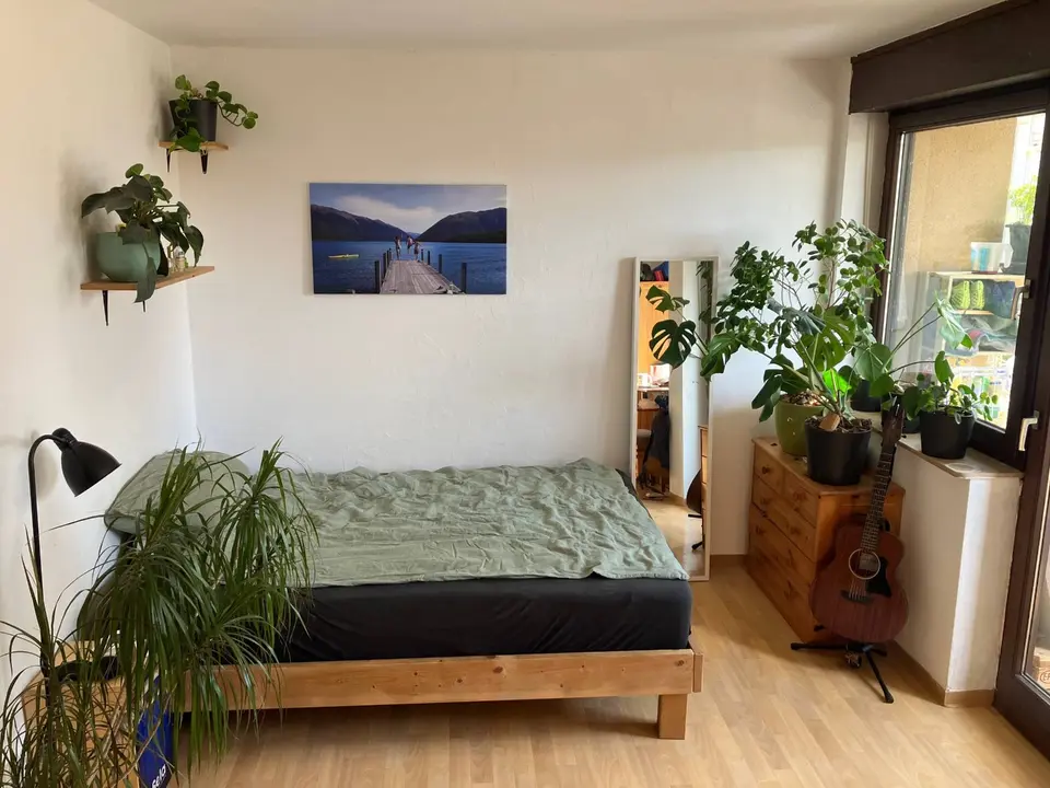 2 Zimmer Wohnung mit 22 m² in Würzburg – Bild 7
