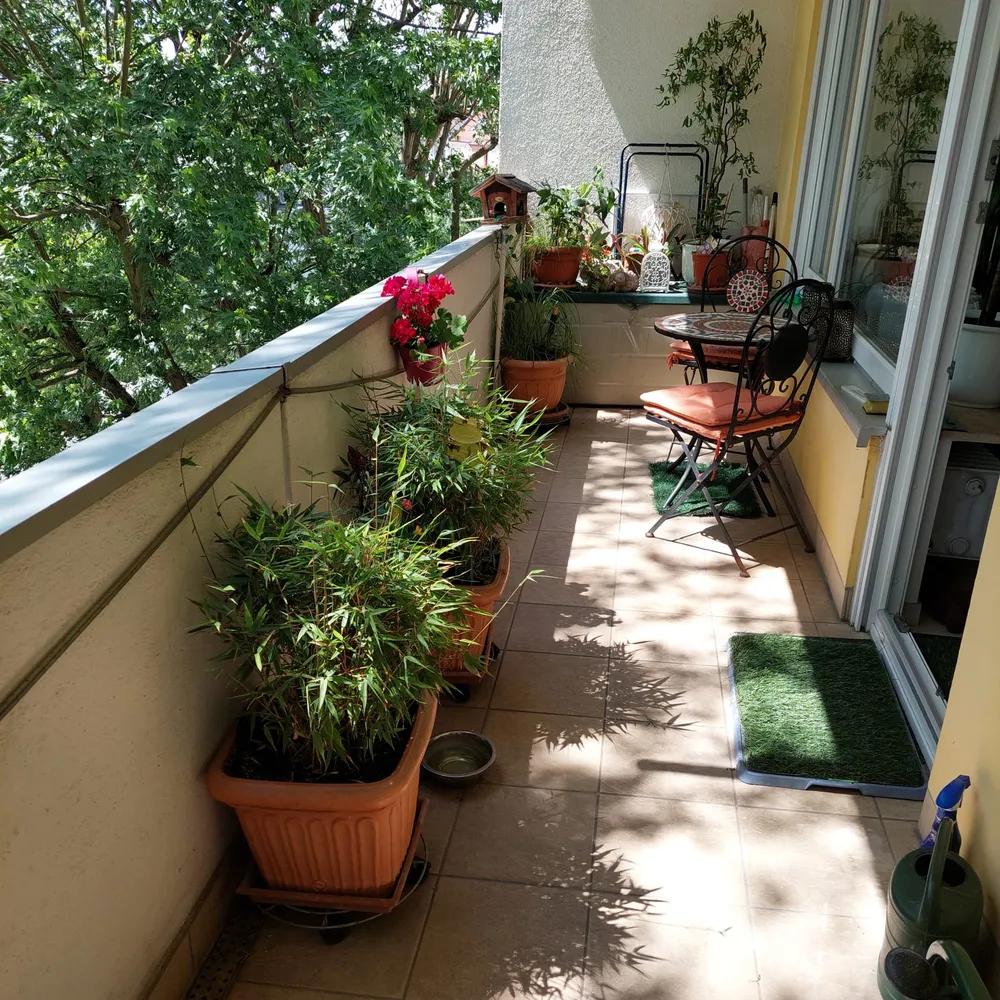 2 Zimmer Wohnung mit 74 m² in Nürnberg – Bild 4