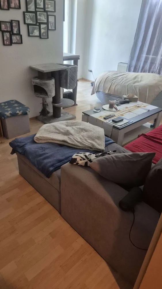2 Zimmer Wohnung mit 55 m² in Halle (Saale) – Bild 10