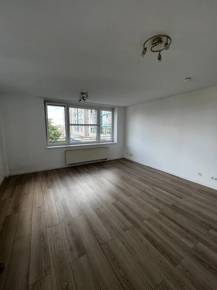 2 room apartment with 60 m² in Potsdam – Photo 4