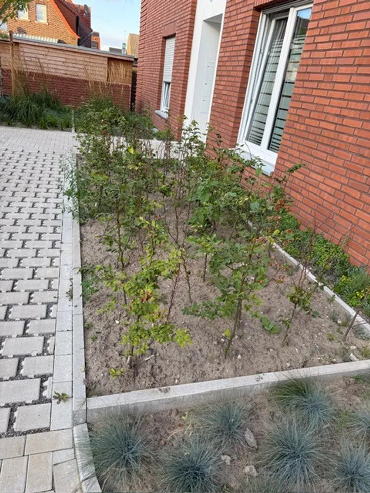 3 Zimmer Wohnung mit 83 m² in Greven – Bild 7