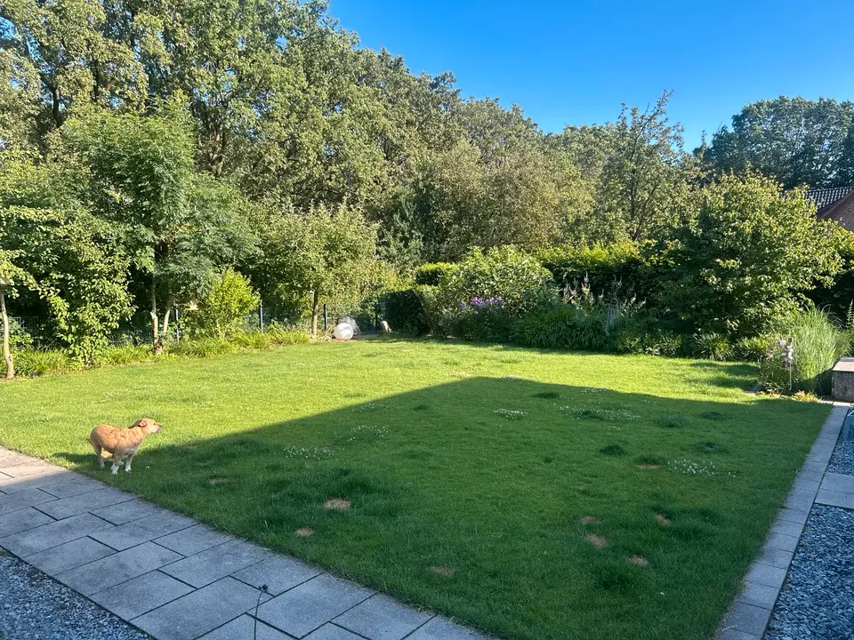 Shared room with 16 m² in Kleve – Photo 6