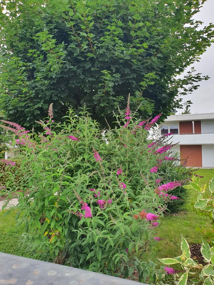 1 Zimmer Wohnung mit 23 m² in München – Bild 6