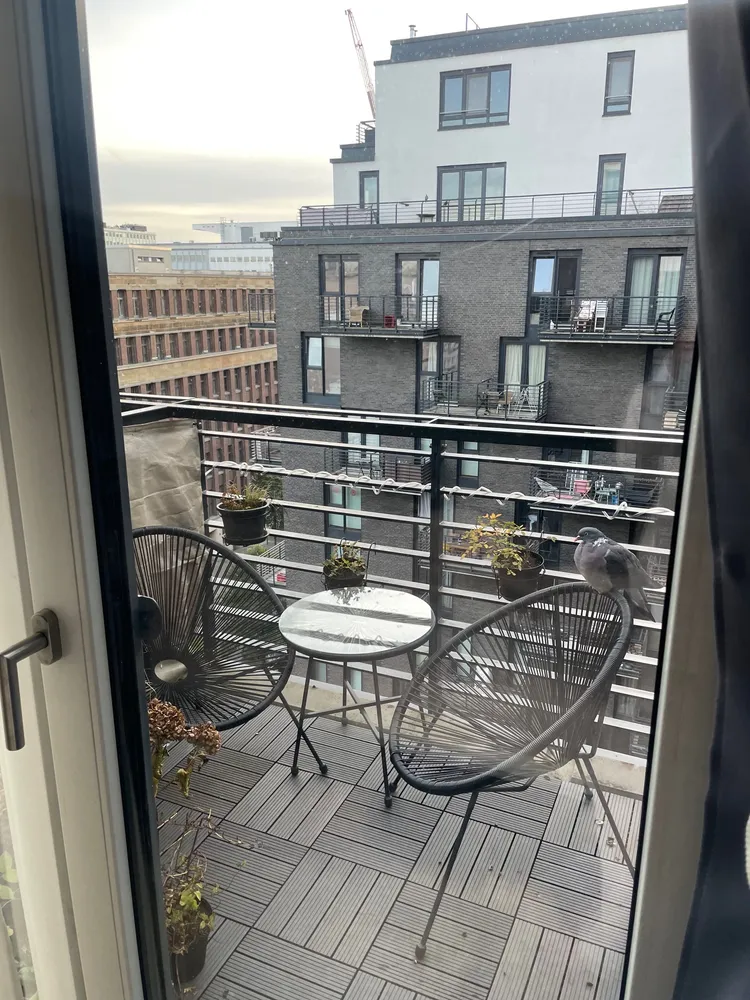 1 Zimmer Wohnung mit 25 m² in Berlin – Bild 2