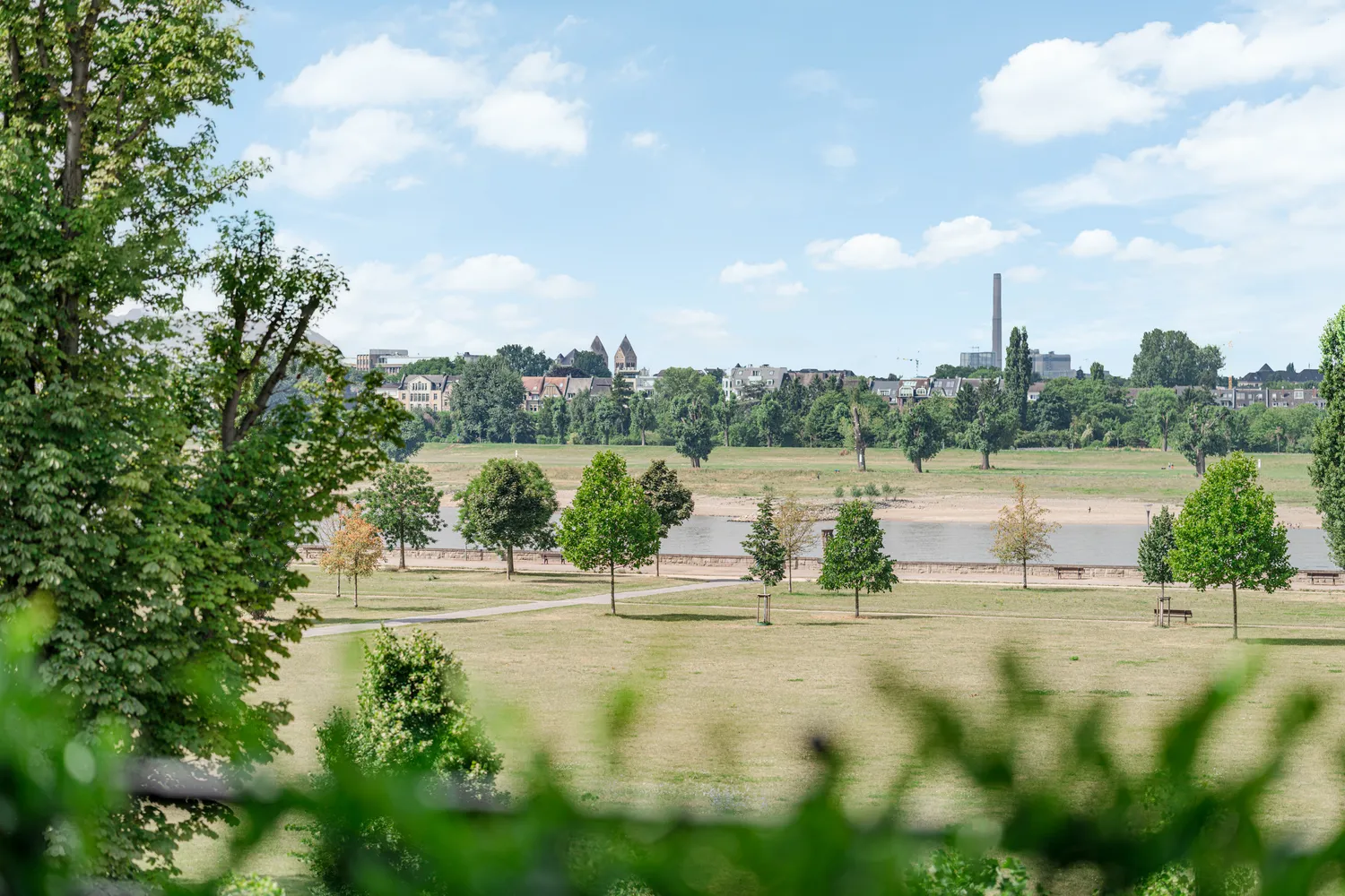 4 Zimmer Wohnung mit 170 m² in Düsseldorf – Bild 2