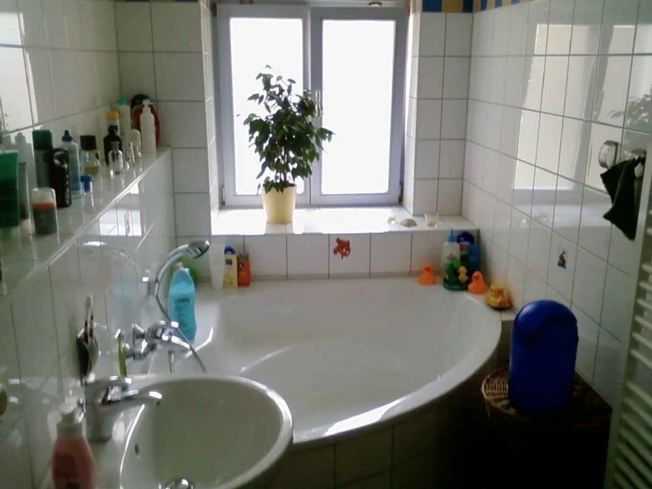2 Zimmer Wohnung mit 57 m² in Dresden – Bild 8