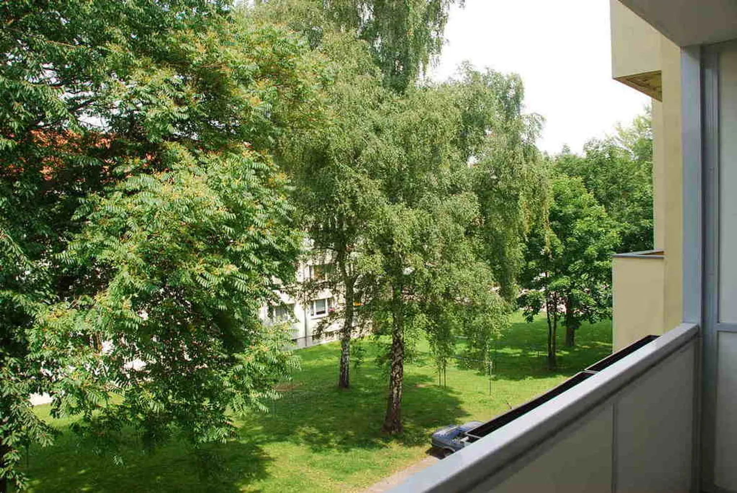 3 room apartment with 62 m² in Chemnitz – Photo 4