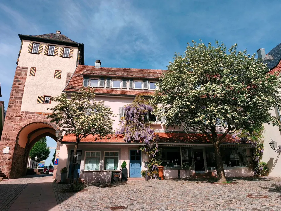 3 Zimmer Wohnung mit 65 m² in Calw – Bild 9