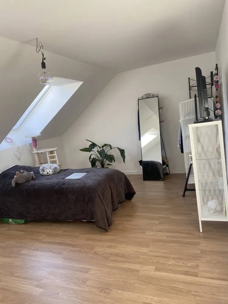 2 room apartment with 39 m² in Cologne – Photo 4