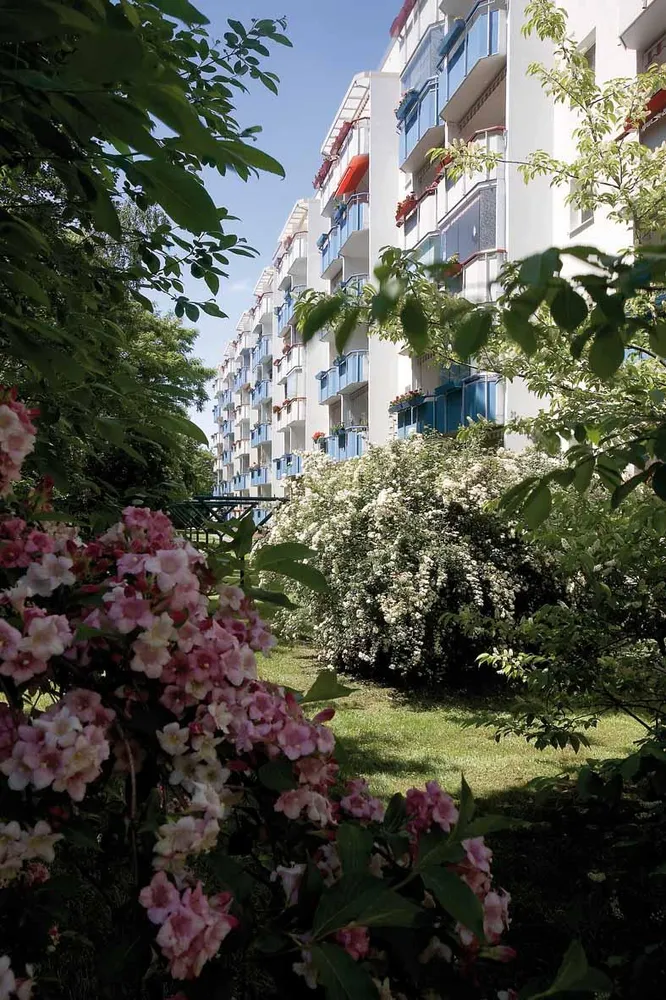 4 room apartment with 65 m² in Magdeburg – Photo 3