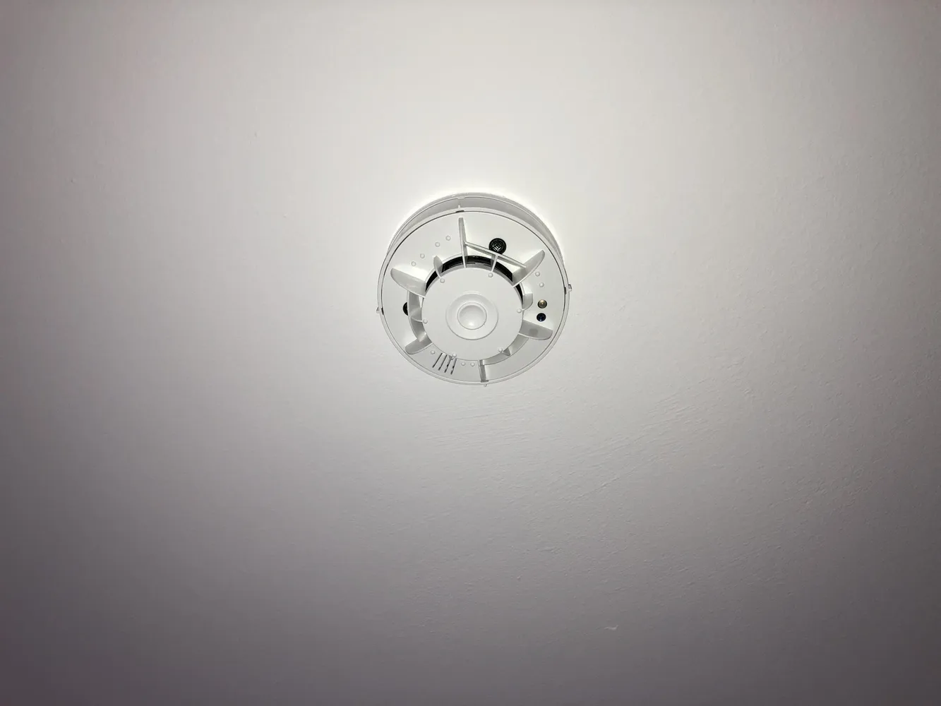 2 Zimmer Wohnung mit 65 m² in Darmstadt – Bild 11