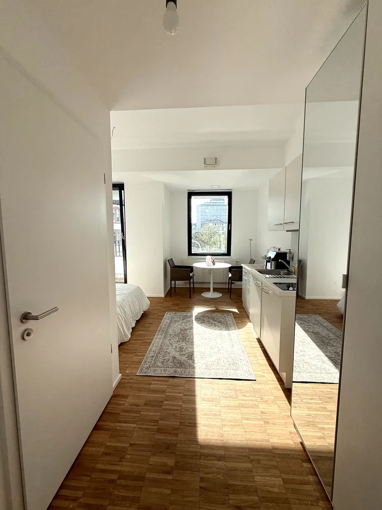1 Zimmer Wohnung mit 24 m² in Frankfurt am Main – Bild 1