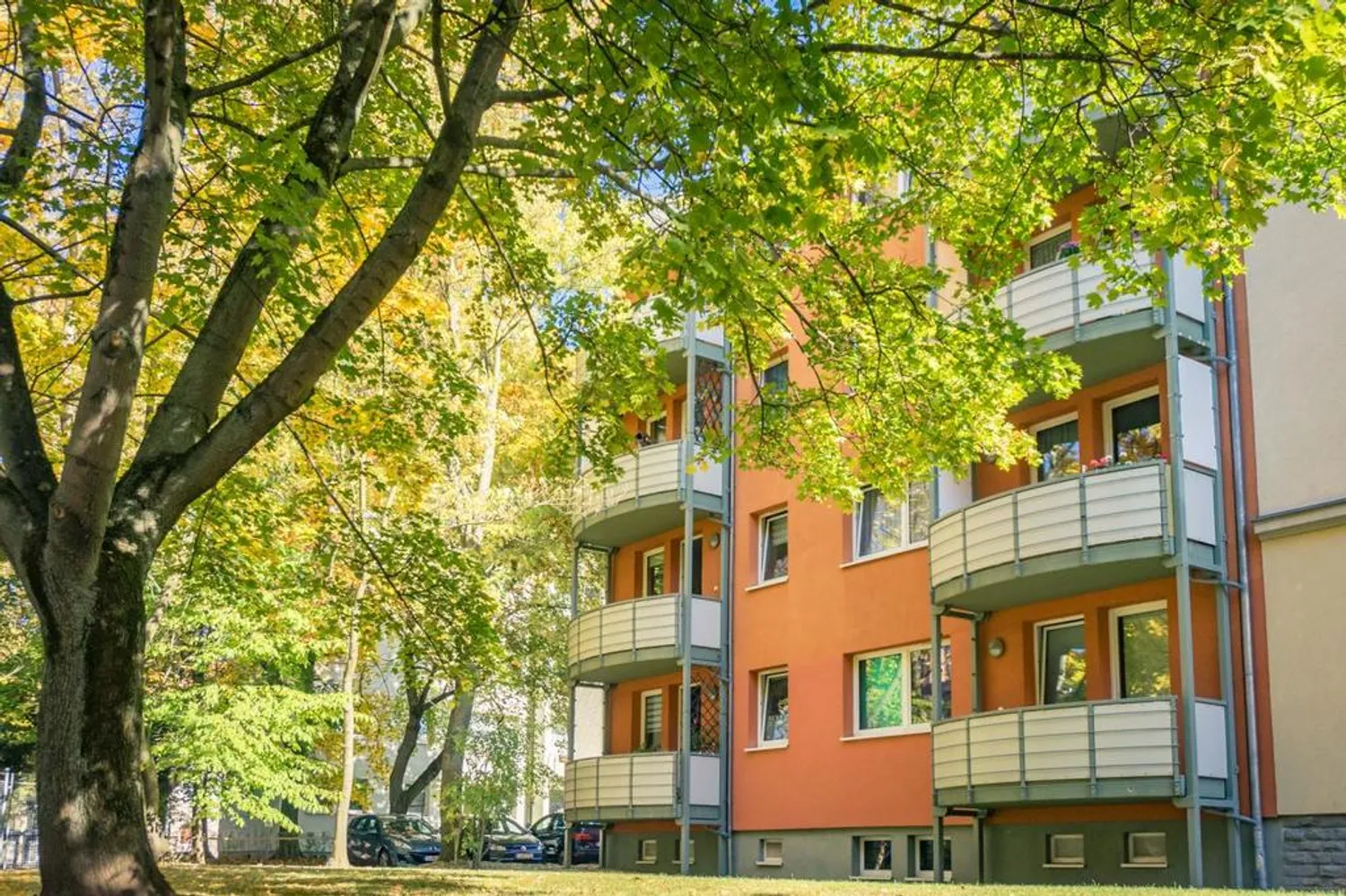 2 Zimmer Wohnung mit 48 m² in Chemnitz – Bild 4