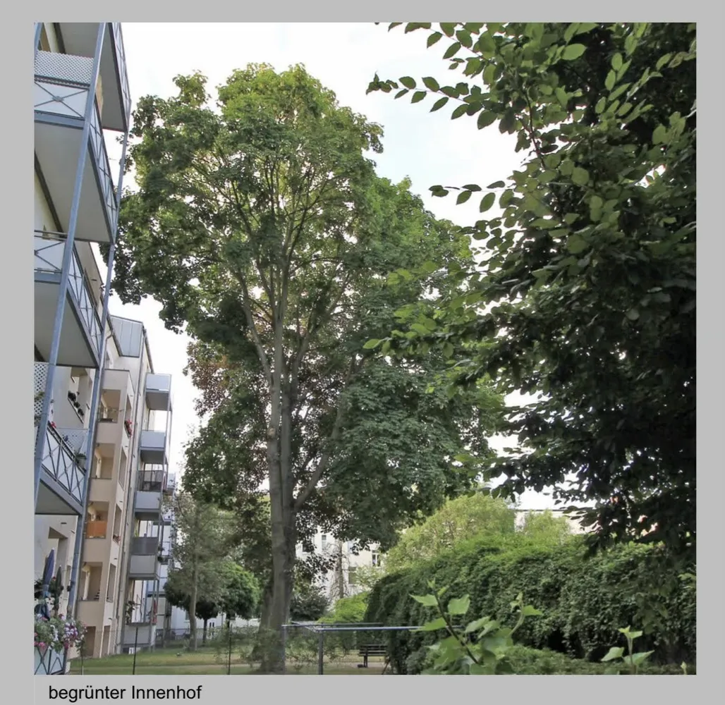 2 Zimmer Wohnung mit 72 m² in Magdeburg – Bild 5