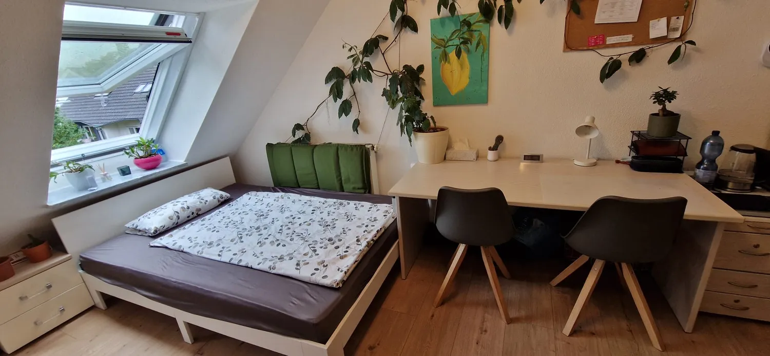 1 Zimmer Wohnung mit 18 m² in Bayreuth – Bild 7